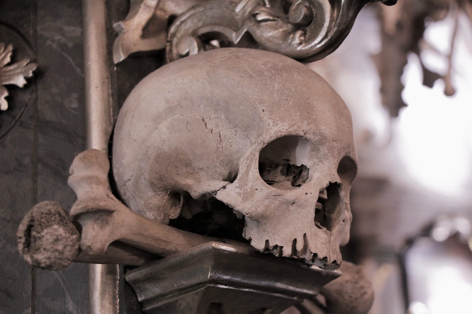 Interior of Sedlec Ossuary showing skulls and chandelier made of bones