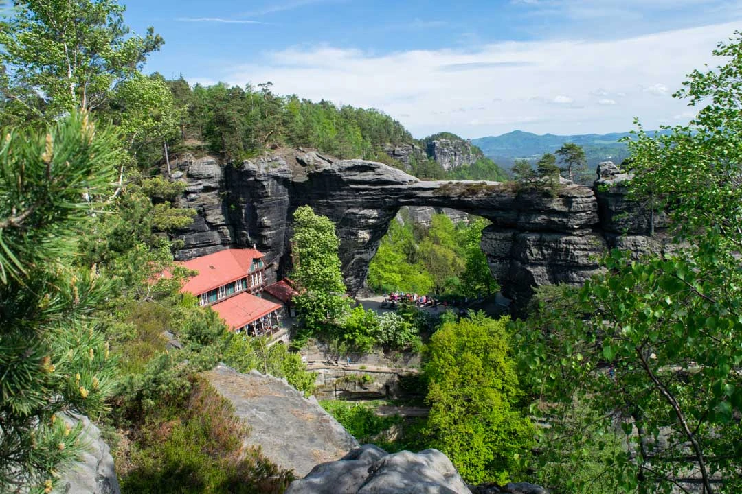 Green forest trail and sandstone walls in Bohemian Switzerland